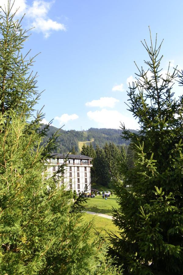 Hotel Casa Vinga - Restaurant&Jacuzzi Poiana Brașov Exterior foto