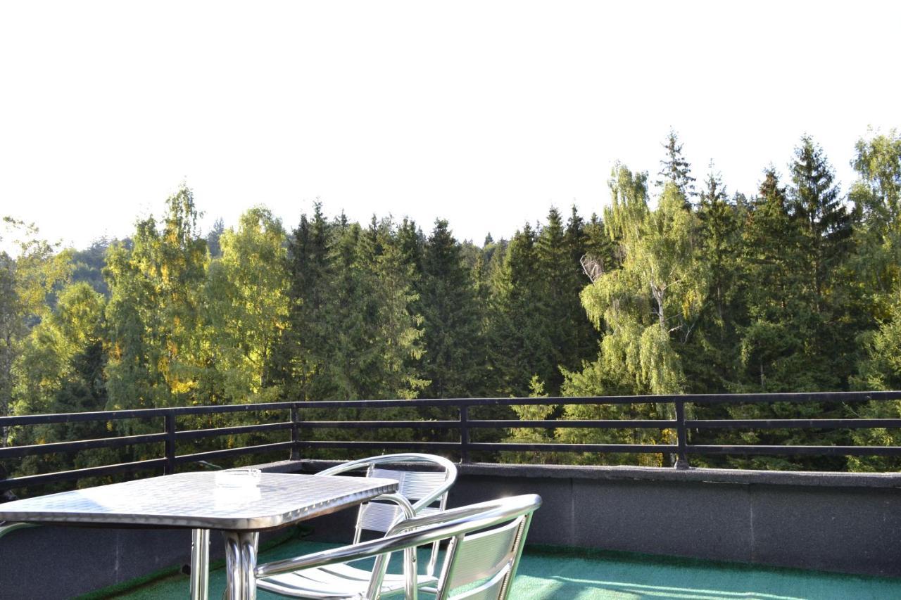 Hotel Casa Vinga - Restaurant&Jacuzzi Poiana Brașov Exterior foto